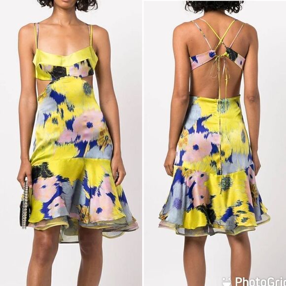 NEW Silvia Tcherassi Analissa Cut Out Silk Abstract Floral Dress Medium